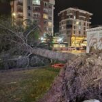 Kayseri için Meteoroloji’den fırtına ve kuvvetli rüzgar uyarısı yapıldı.