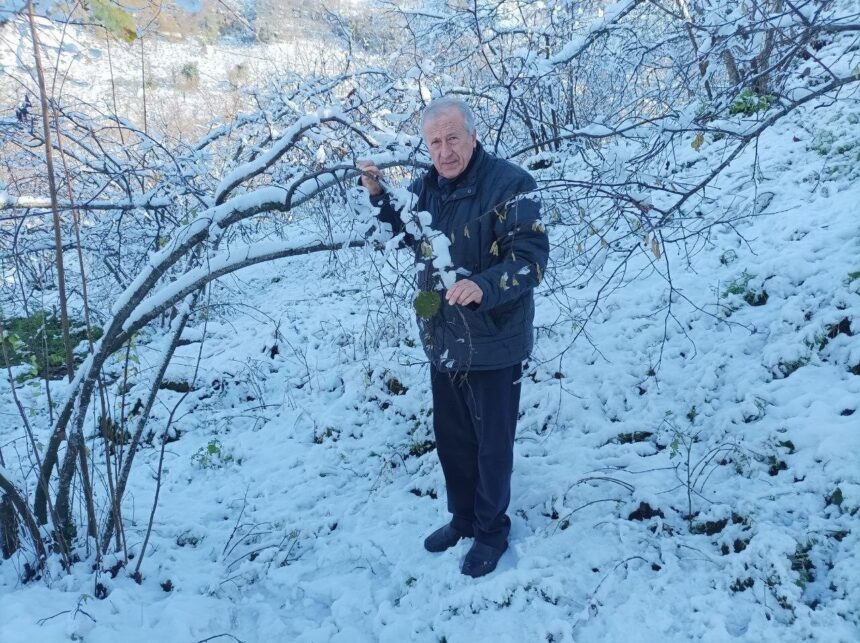 Giresun’da mevsiminde yağan kar, fındık üreticileri için umut verdi.