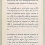 MİT Başkanı İbrahim Kalın, 10 Ocak Çalışan Gazeteciler Günü’nü kutladı.