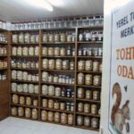 Muğla Büyükşehir Belediyesi, ata tohumlarını korumak ve yaygınlaştırmak için Yerel Tohum Merkezi’ni kurdu.