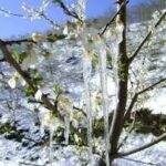 Meteoroloji, 18 Ocak’tan itibaren bölgedeki hava sıcaklıklarının düşeceğini bildirdi.