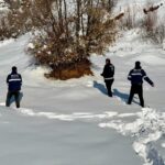 Mutki Belediyesi’nden Yaban Hayatına Destek: Kış Koşullarında Yem Bırakıldı