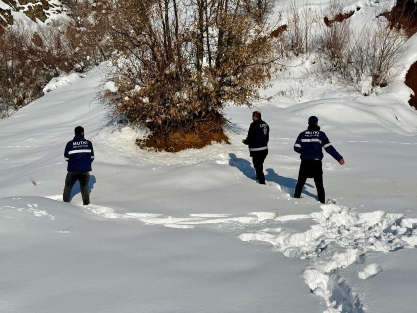 Mutki Belediyesi’nden Yaban Hayatına Destek: Kış Koşullarında Yem Bırakıldı Mutki Belediyesi’nden Yaban Hayatına Destek: Kış Koşullarında Yem Bırakıldı