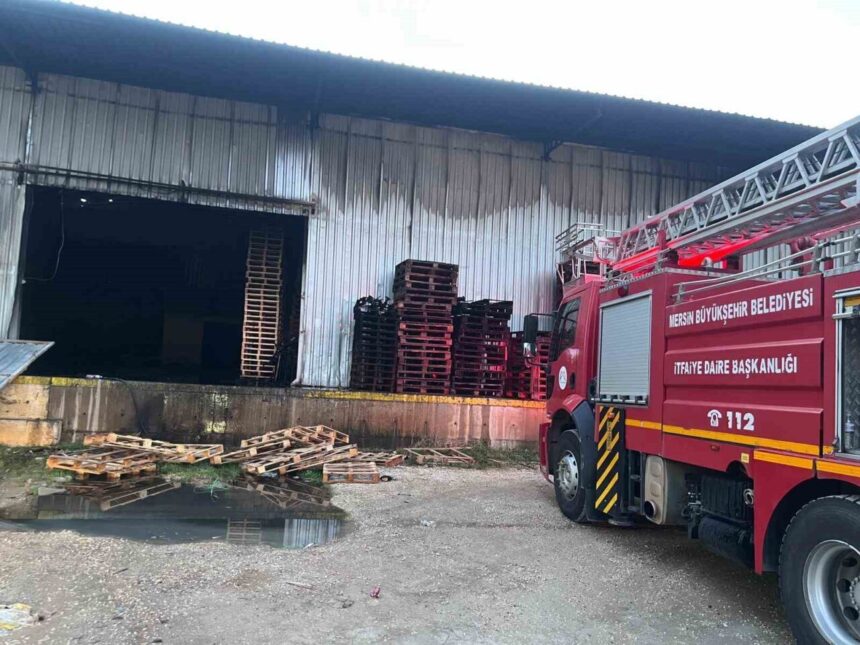 Mersin’deki narenciye paketleme tesisinde çıkan yangın hızlı müdahaleyle kontrol altına alındı.