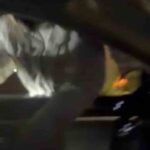 Konya’da yol verme tartışmasının ardından taksiciye saldırı anları cep telefonuyla görüntülendi. İki kişi yaralandı.