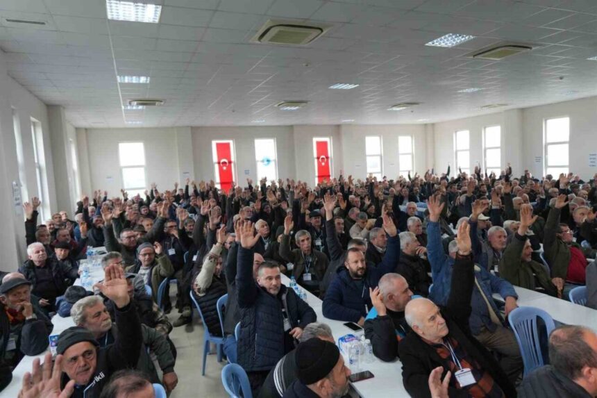 Marmarabirlik Orhangazi Zeytin Tarım Satış Kooperatifi Genel Kurulu’nda Hüseyin Sevdi başkan seçildi. Marmarabirlik Orhangazi Zeytin Tarım Satış Kooperatifi Genel Kurulu’nda Hüseyin Sevdi başkan seçildi.