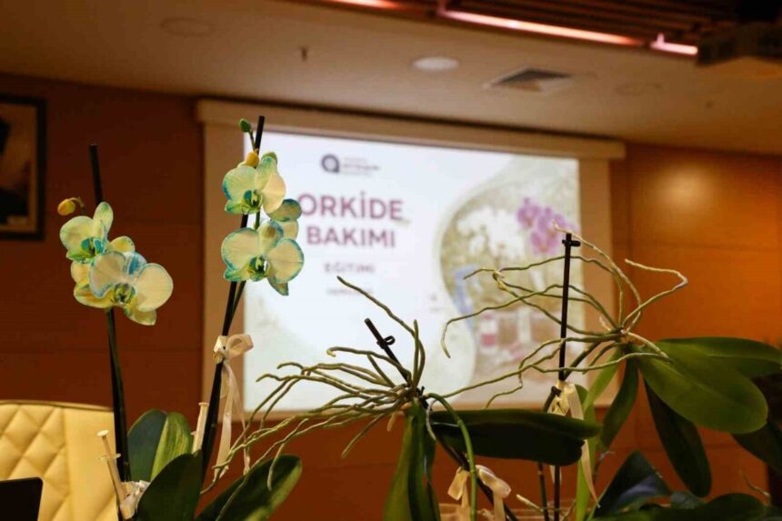 Antalya’da Orkide Bakımı Eğitimi Yoğun İlgiyle Gerçekleştirildi Antalya’da Orkide Bakımı Eğitimi Yoğun İlgiyle Gerçekleştirildi