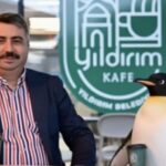 Sürüden ayrılan penguen yeniden viral oldu; belediyelerden ilginç paylaşımlar geldi.