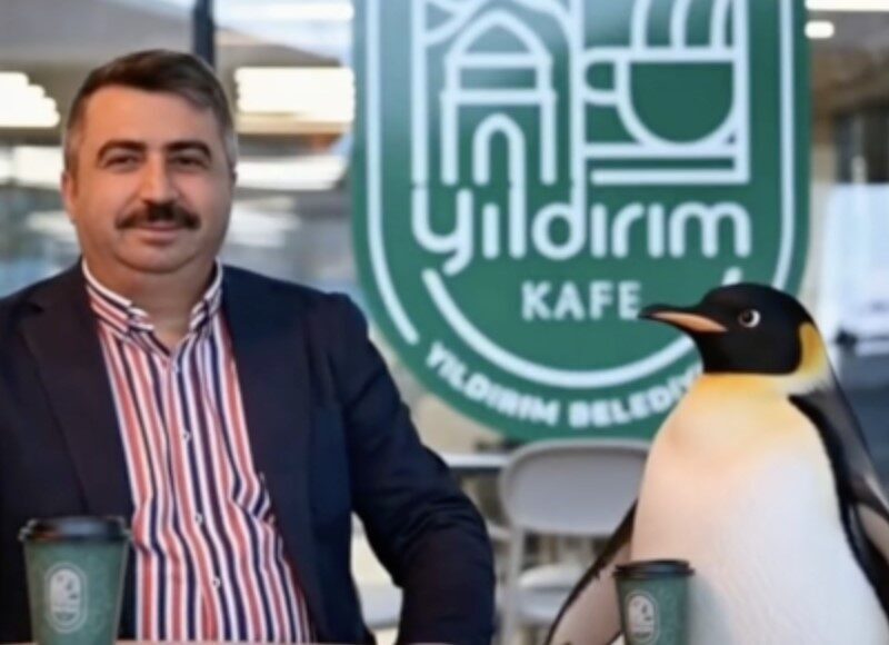 Sürüden ayrılan penguen yeniden viral oldu; belediyelerden ilginç paylaşımlar geldi. Sürüden ayrılan penguen yeniden viral oldu; belediyelerden ilginç paylaşımlar geldi.