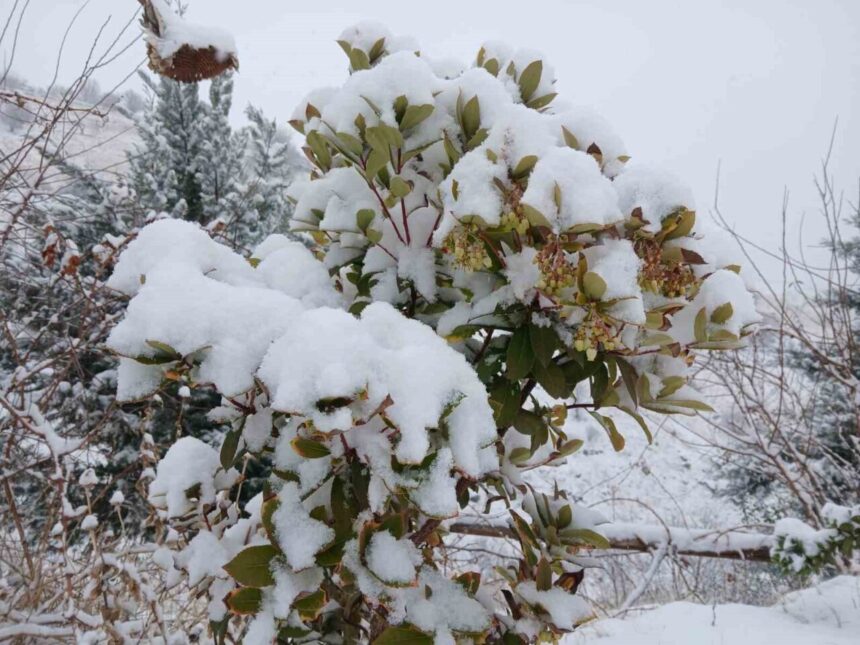 Pütürge’de Yağan Kar, Kartpostallık Manzaralar Oluşturdu