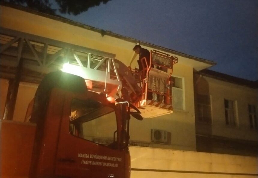 Salihli’de okul çatısında kalan kedi, itfaiyenin müdahalesiyle kurtarıldı. Salihli’de okul çatısında kalan kedi, itfaiyenin müdahalesiyle kurtarıldı.