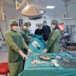 Viranşehir Devlet Hastanesi’nde 18 yaşındaki bir hastanın böbreğindeki 10 cm kist laparoskopik yöntemle alındı.