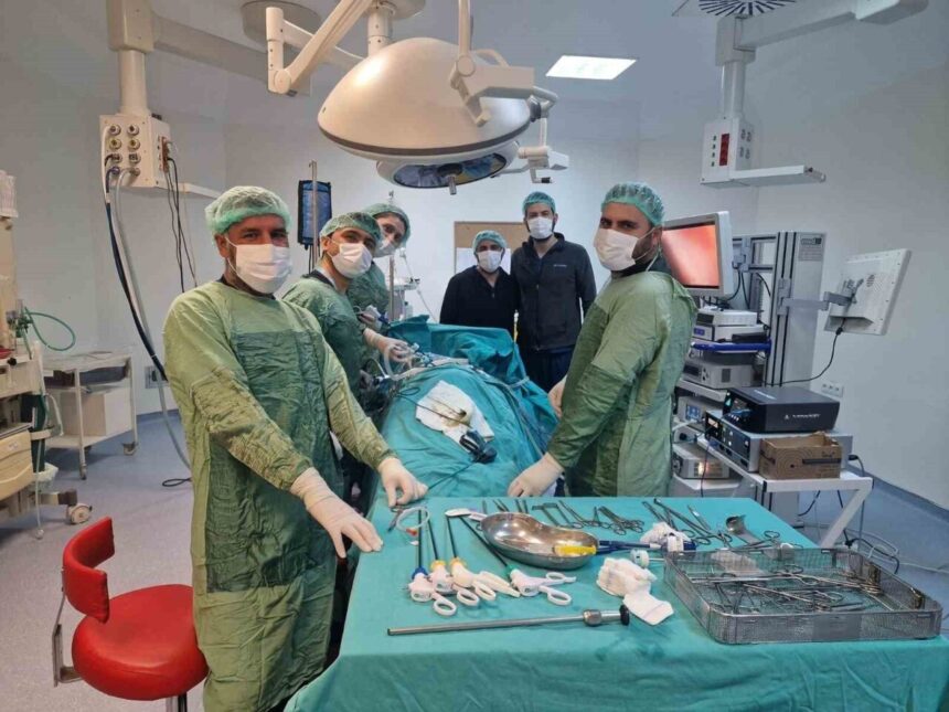 Viranşehir Devlet Hastanesi’nde 18 yaşındaki bir hastanın böbreğindeki 10 cm kist laparoskopik yöntemle alındı. Viranşehir Devlet Hastanesi’nde 18 yaşındaki bir hastanın böbreğindeki 10 cm kist laparoskopik yöntemle alındı.