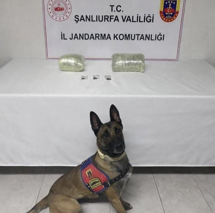 Şanlıurfa’da düzenlenen operasyonda 2 kilogram esrar ele geçirildi, bir kişi gözaltına alındı. Şanlıurfa’da düzenlenen operasyonda 2 kilogram esrar ele geçirildi, bir kişi gözaltına alındı.