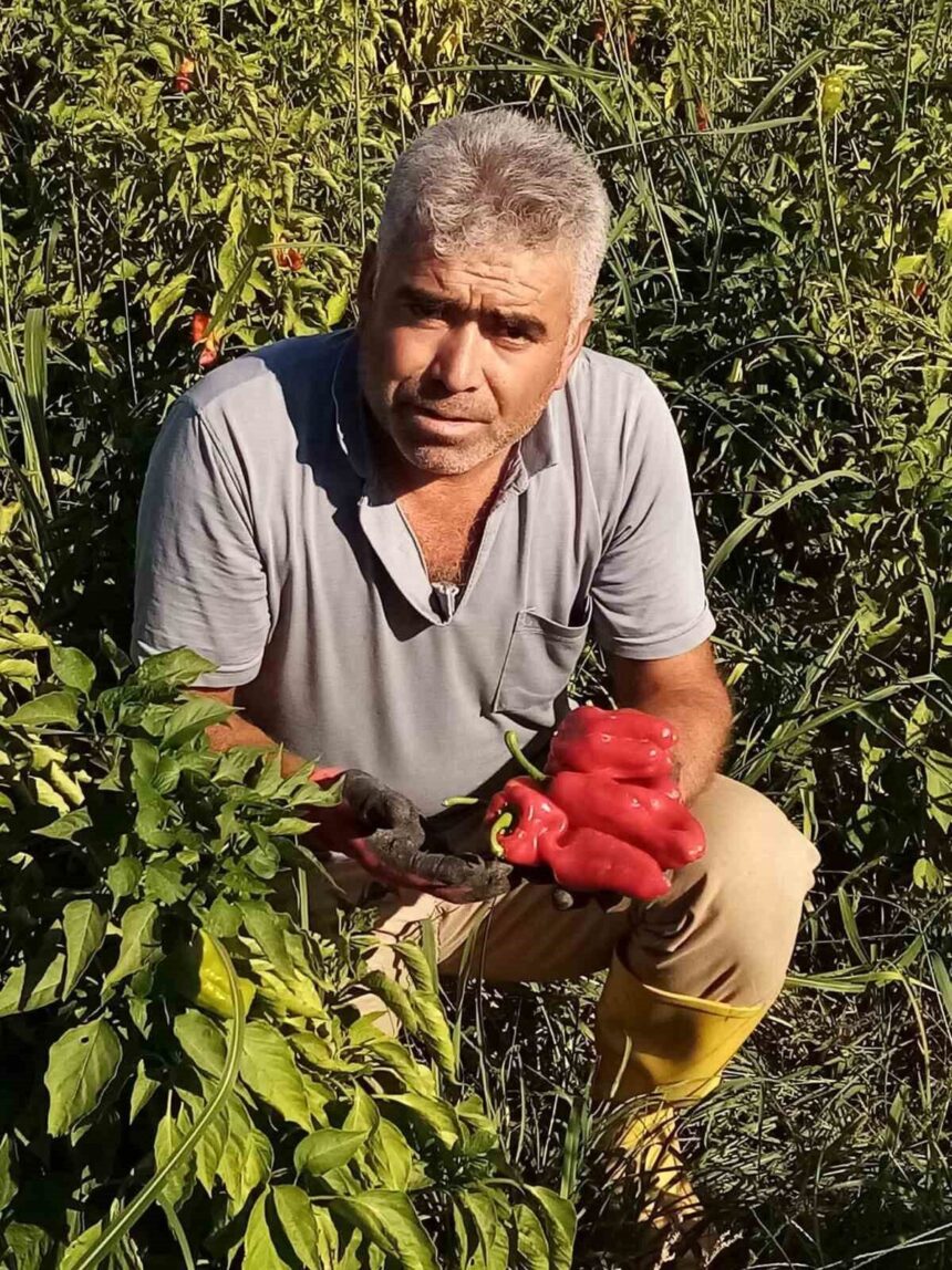 Eyyübiye’de asansöre binmek isteyen bir servis şoförü, dördüncü kat boşluğuna düşerek öldü.