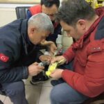 Şanlıurfa Haliliye’de papağanın ayağına takılan halhal, itfaiye ekiplerinin yardımıyla çıkarıldı.