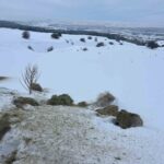 Sivas Cumhuriyet Üniversitesi, ağır kış koşullarında yabani hayvanlar için doğaya yem bıraktı.