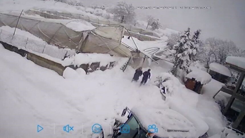 Köyceğiz köyünde yoğun kar nedeniyle seralar çöktü, çiftçi komşularının yardımıyla kurtarıldı.