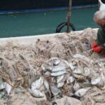 Silifke’deki fırtına balık çiftliğinde hasara neden oldu, çok sayıda balık kıyıya vurdu.