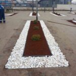 Sincan Belediyesi, çevre düzenleme ve peyzaj çalışmalarına devam ediyor. Ağaç budama, fidan dikme ve çim serme çalışmaları, ilçede sürdürülüyor.