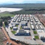 Antalya Büyükşehir Belediyesi, 2025’te sokak hayvanları için sahiplendirme, kısırlaştırma ve tedavi hizmetleri sundu.