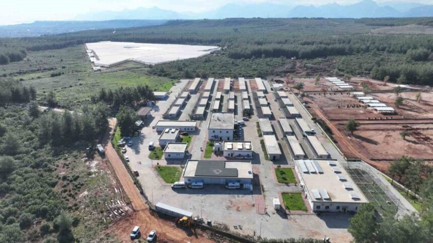 Antalya Büyükşehir Belediyesi, 2025’te sokak hayvanları için sahiplendirme, kısırlaştırma ve tedavi hizmetleri sundu. Antalya Büyükşehir Belediyesi, 2025’te sokak hayvanları için sahiplendirme, kısırlaştırma ve tedavi hizmetleri sundu.