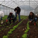 Kocaeli’de Tarım Akademisi ile tarıma yenilikler kazandırılıyor