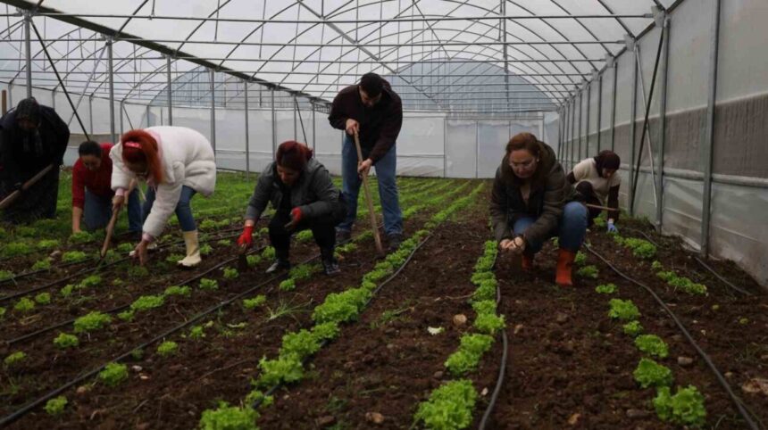 Kocaeli’de Tarım Akademisi ile tarıma yenilikler kazandırılıyor Kocaeli’de Tarım Akademisi ile tarıma yenilikler kazandırılıyor