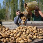 Tarımsal Girdi Fiyat Endeksi yıllık yüzde 34,24, aylık yüzde 1,84 yükseldi.