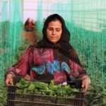 Tarımsal girdi fiyat endeksi yıllık yüzde 34,24, aylık yüzde 1,84 yükseldi.