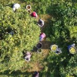 Tarım Ürünleri Üretici Fiyat Endeksi Aralık 2025’te yıllık yüzde 36,01, aylık yüzde 3,06 arttı.