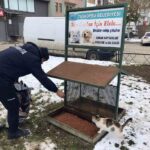 Belediye ekipleri kış koşullarında sokak hayvanları için yemleme çalışması yürütüyor