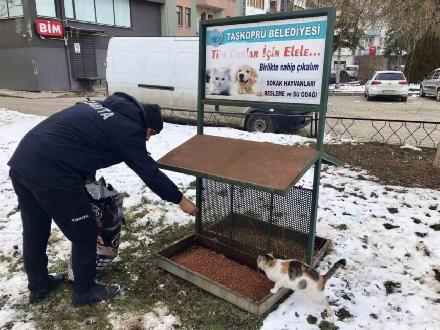 Belediye ekipleri kış koşullarında sokak hayvanları için yemleme çalışması yürütüyor Belediye ekipleri kış koşullarında sokak hayvanları için yemleme çalışması yürütüyor