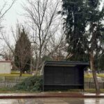 Tavşanlı’da Şiddetli Rüzgar Ağaç Devrilmesine Neden Oldu, Yaralanan Yok