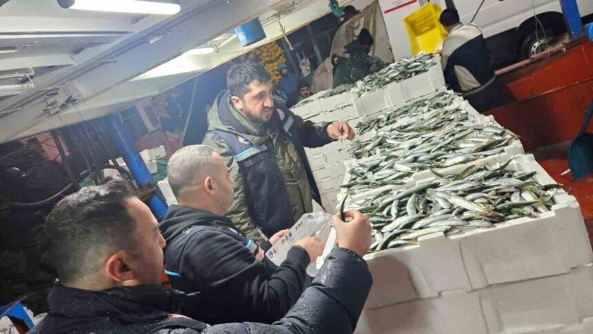 Tekirdağ Tarım ve Orman Müdürlüğü, gırgır teknelerinde su ürünleri denetimi gerçekleştirdi. Tekirdağ Tarım ve Orman Müdürlüğü, gırgır teknelerinde su ürünleri denetimi gerçekleştirdi.