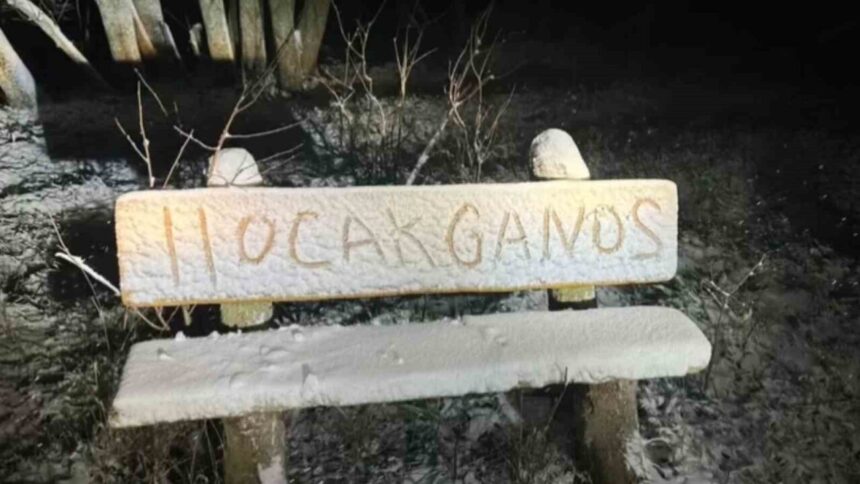 Tekirdağ’ın yüksek kesimlerinde hava sıcaklıklarının düşmesiyle kar yağışı etkin oldu. Tekirdağ’ın yüksek kesimlerinde hava sıcaklıklarının düşmesiyle kar yağışı etkin oldu.