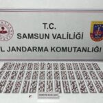 Samsun’un Tekkeköy ilçesinde jandarma uyuşturucu operasyonu düzenleyerek 1 kişiyi tutukladı.