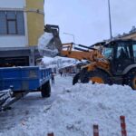 Tercan’da karla mücadele çalışmaları sürerken, dondurucu soğuklar Girlevik Şelalesi’ni dondurdu.