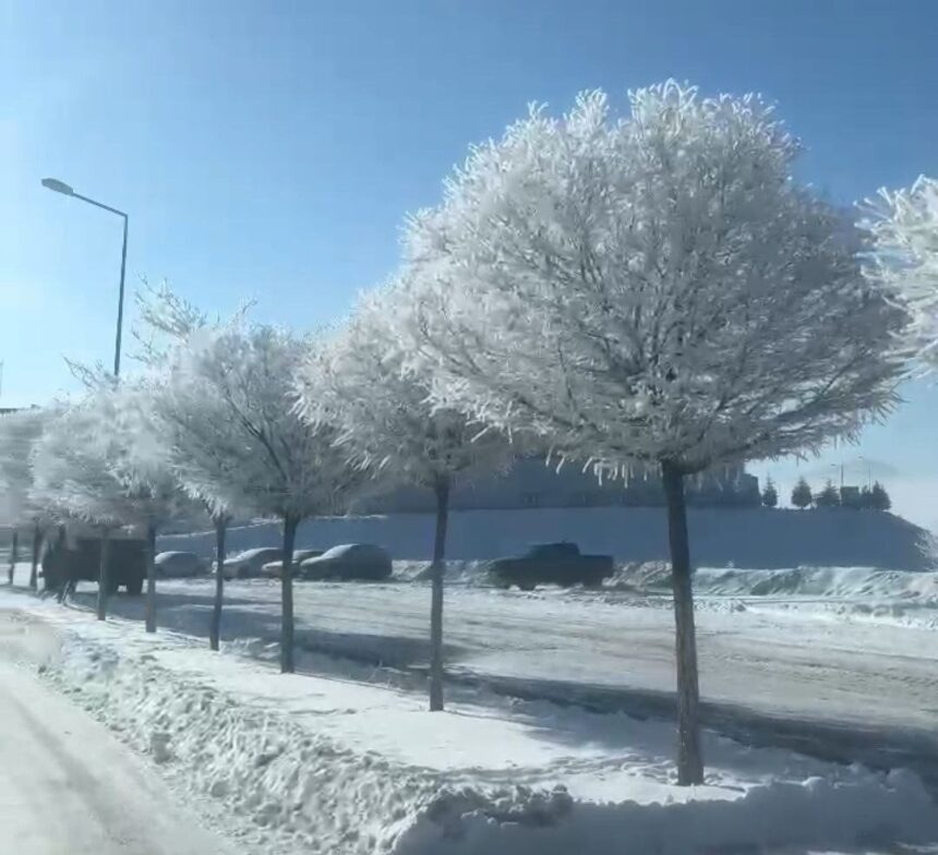 Tufanbeyli’de eksi 20 dereceye düşen hava sıcaklığıyla kırağı oluştu, doğada kartpostal gibi manzaralar belirdi.
