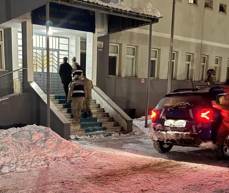 Ovacık’ta yeni doğmuş köpek yavrusuna eziyet eden bir kişi tutuklandı, köpekler koruma altına alındı.