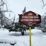 Tunceli’de Yoğun Kar Yağışı Günlük Hayatı Olumsuz Etkiliyor, Ekipler Çalışmalarını Sürdürüyor