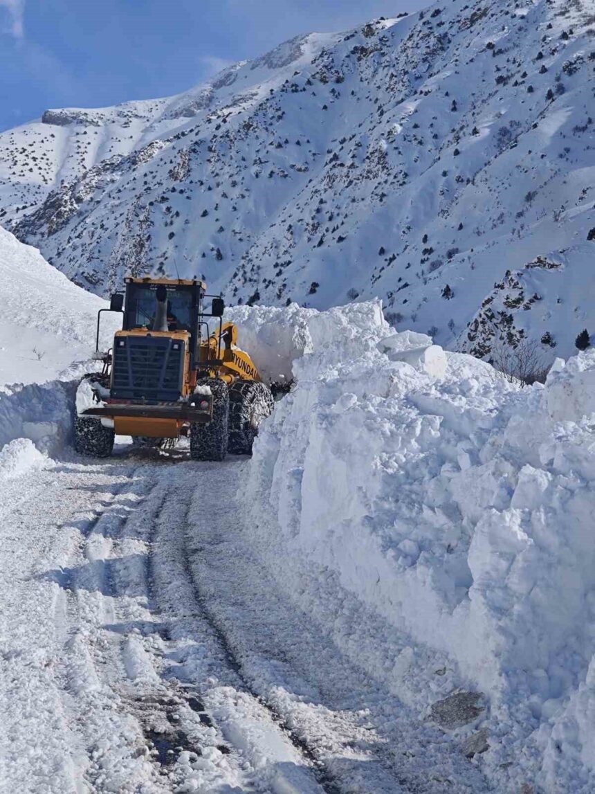 Van-Çatak karayolunda yoğun kar ve çığ nedeniyle süren yol açma çalışmaları devam ediyor.