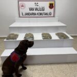 Başkale’de jandarma operasyonunda 5 kilo 250 gram kubar esrar ele geçirildi.