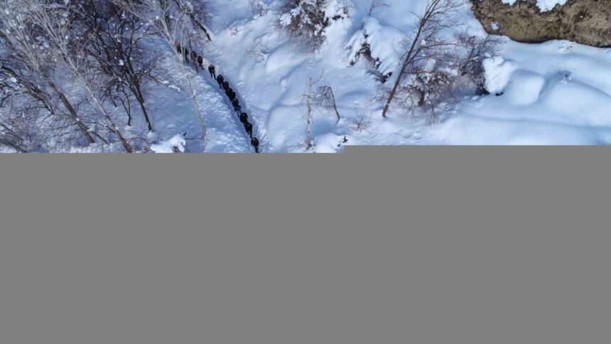 Çatak’ta çığ felaketinde hayatını kaybeden kadının cenazesi defnedildi.