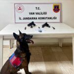 Erciş’te Jandarma Tarafından Yapılan Operasyonda Ruhsatsız Tabanca ve Mühimmat Ele Geçirildi