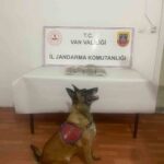 Muradiye’de jandarma tarafından yapılan operasyonda uyuşturucu madde ele geçirildi.