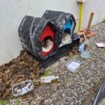 Şirintepe Mahallesi’nde Sokak Kedileri İçin Kışa Özel Yuvalar Hazırlandı