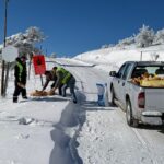 Merzifon’da yaban hayvanları için ormanlık alana yem bırakıldı