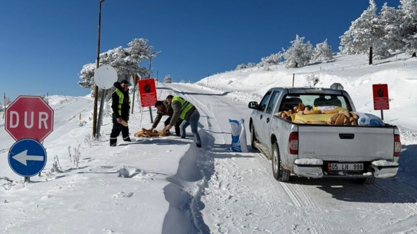 Merzifon’da yaban hayvanları için ormanlık alana yem bırakıldı