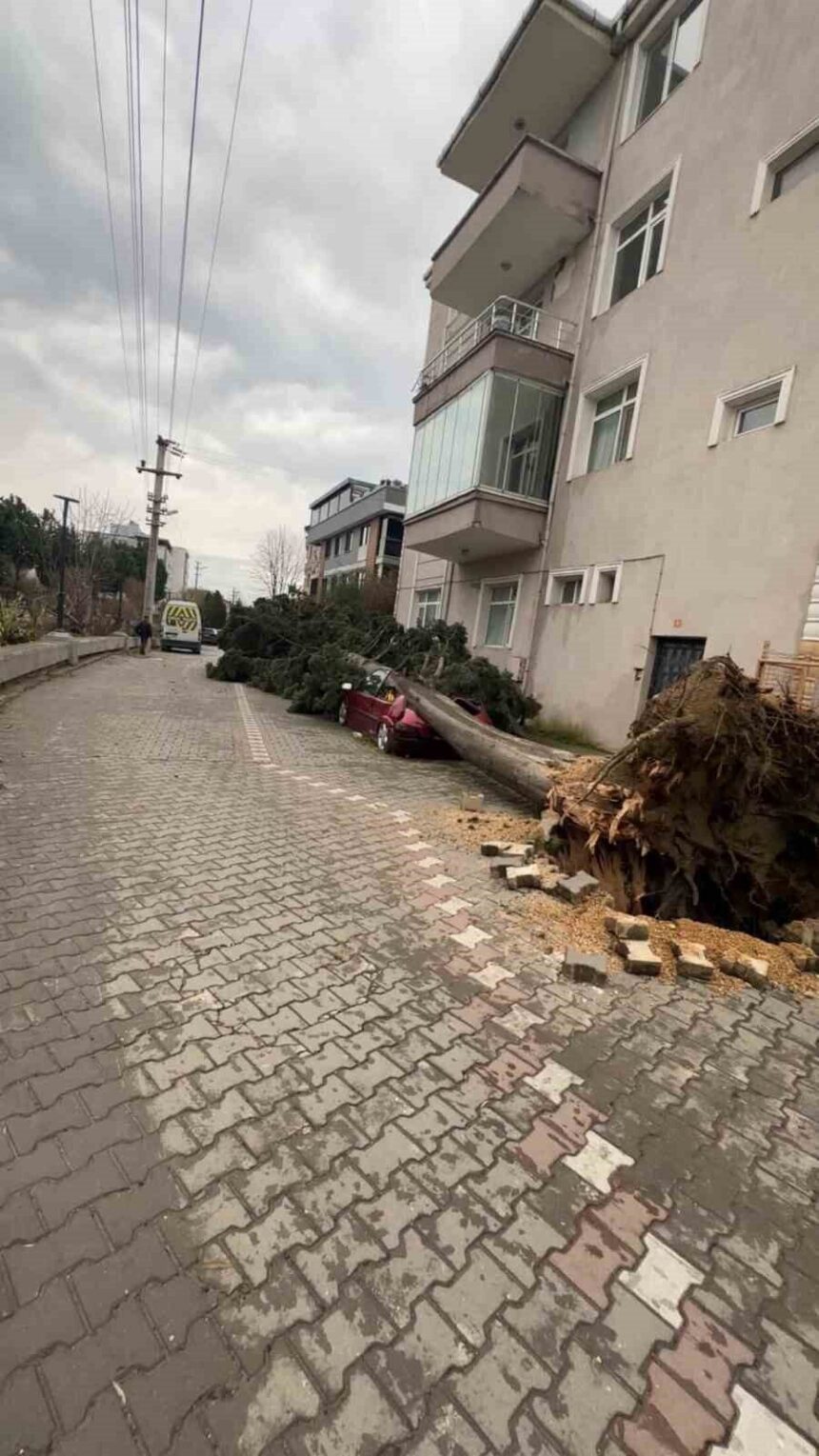 Yalova’da etkili fırtına, yaşamı olumsuz etkiliyor; çatılar, ağaçlar ve vinçler devrildi. Yalova’da etkili fırtına, yaşamı olumsuz etkiliyor; çatılar, ağaçlar ve vinçler devrildi.